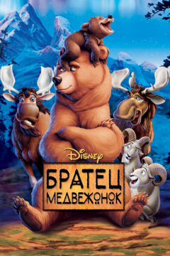 Брат медвежонок